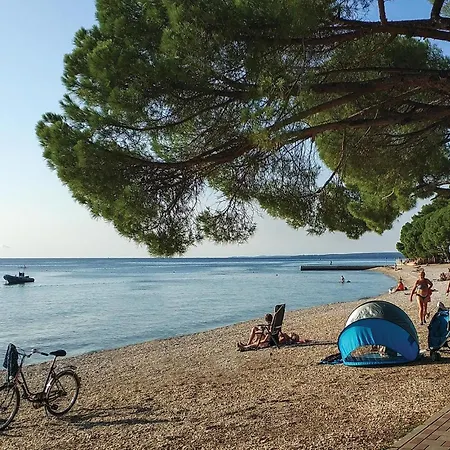 Gorgeous In With Wifi